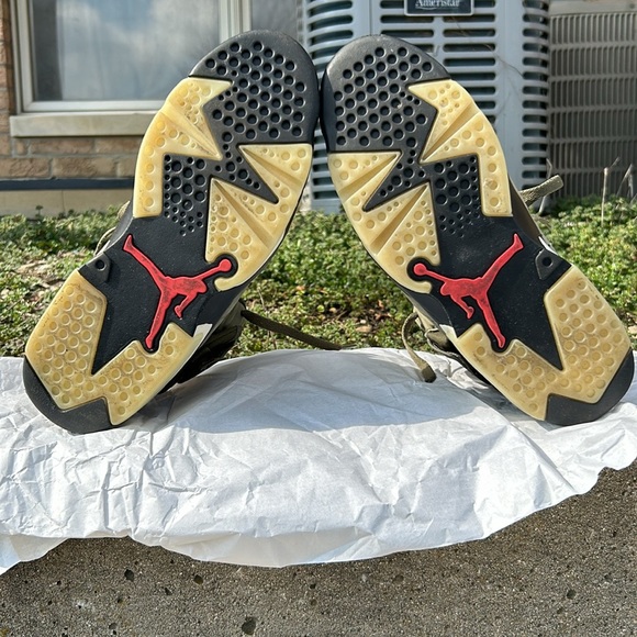 Cactus 🌵 Jack - Picture 3 of 10